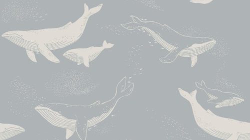 Whales 6942